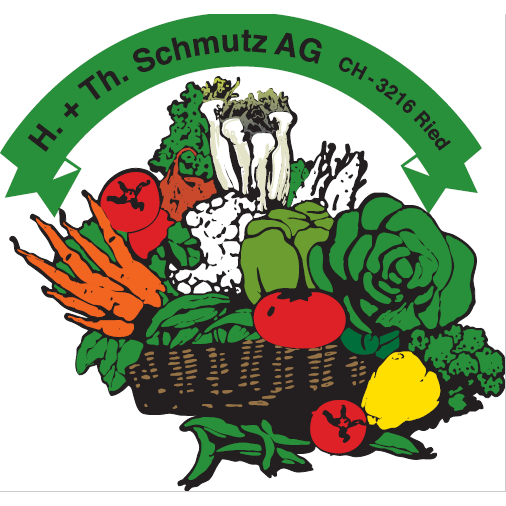 Schmutz H. + Th. AG Logo