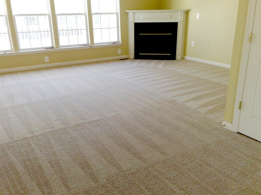 Warner Carpet And Tile Cleaning Photo