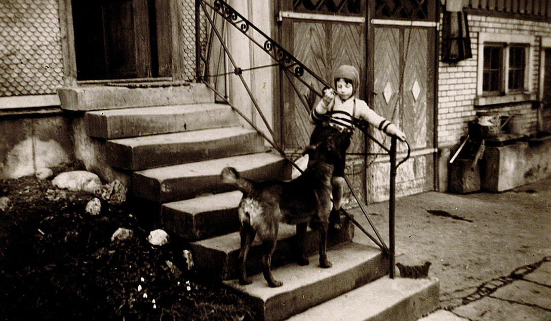 Bilder Soller Junghennen AG