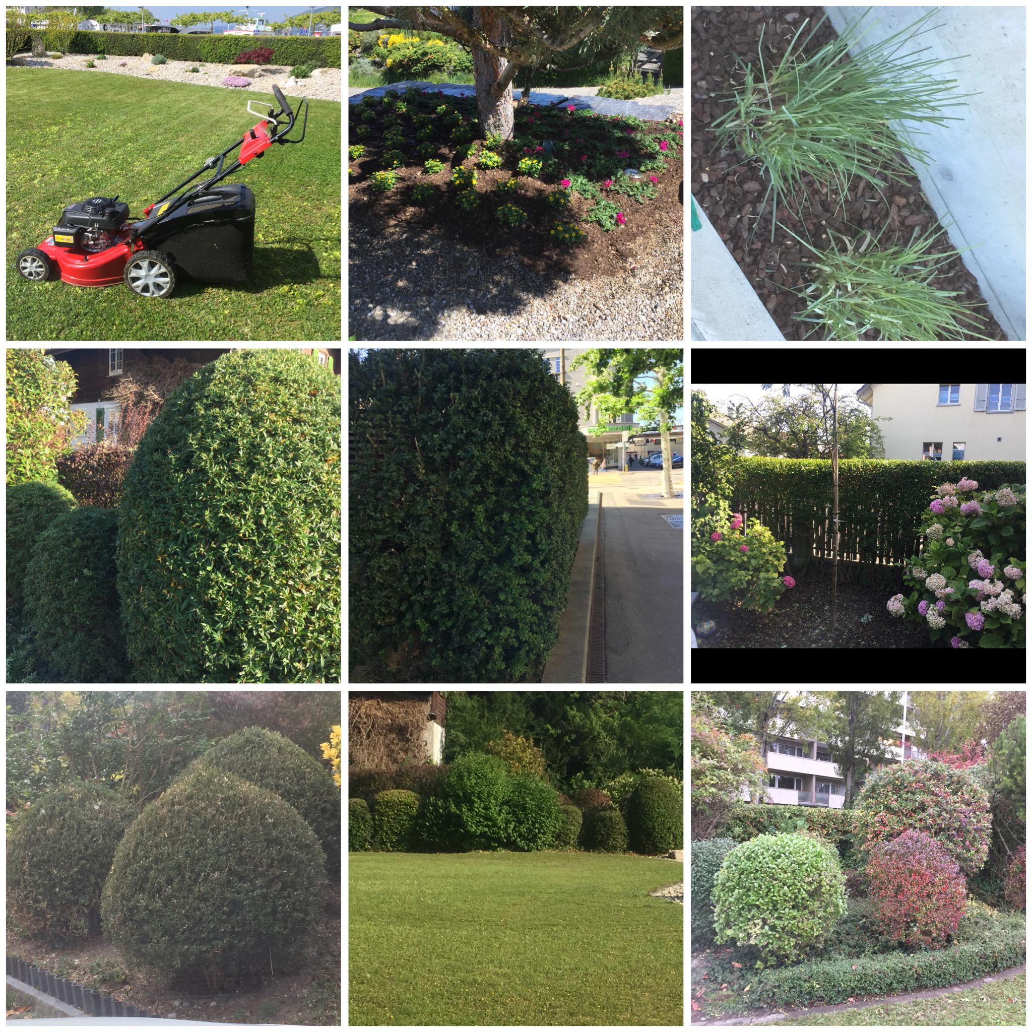 Bilder HRG Hauswartung - Reinigung - Gartenunterhalt