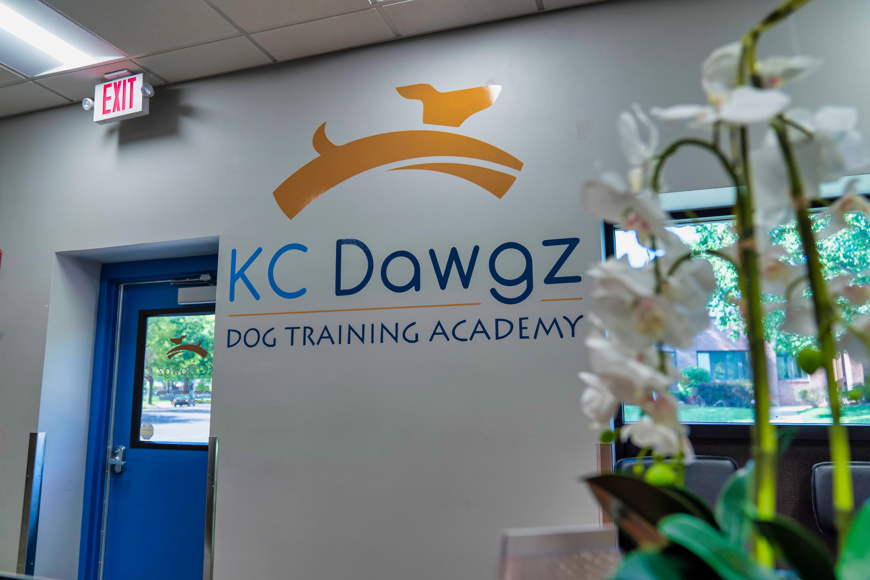 KC Dawgz Dog Training Academy Reception Area