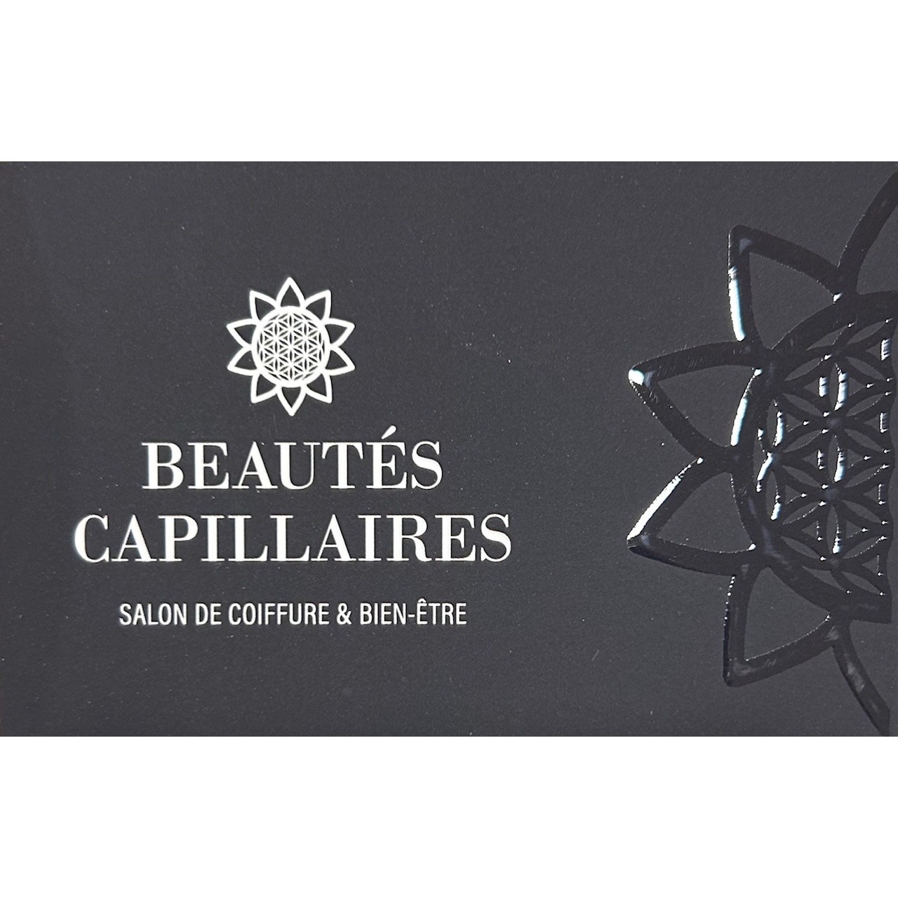 Beautes Capillaires