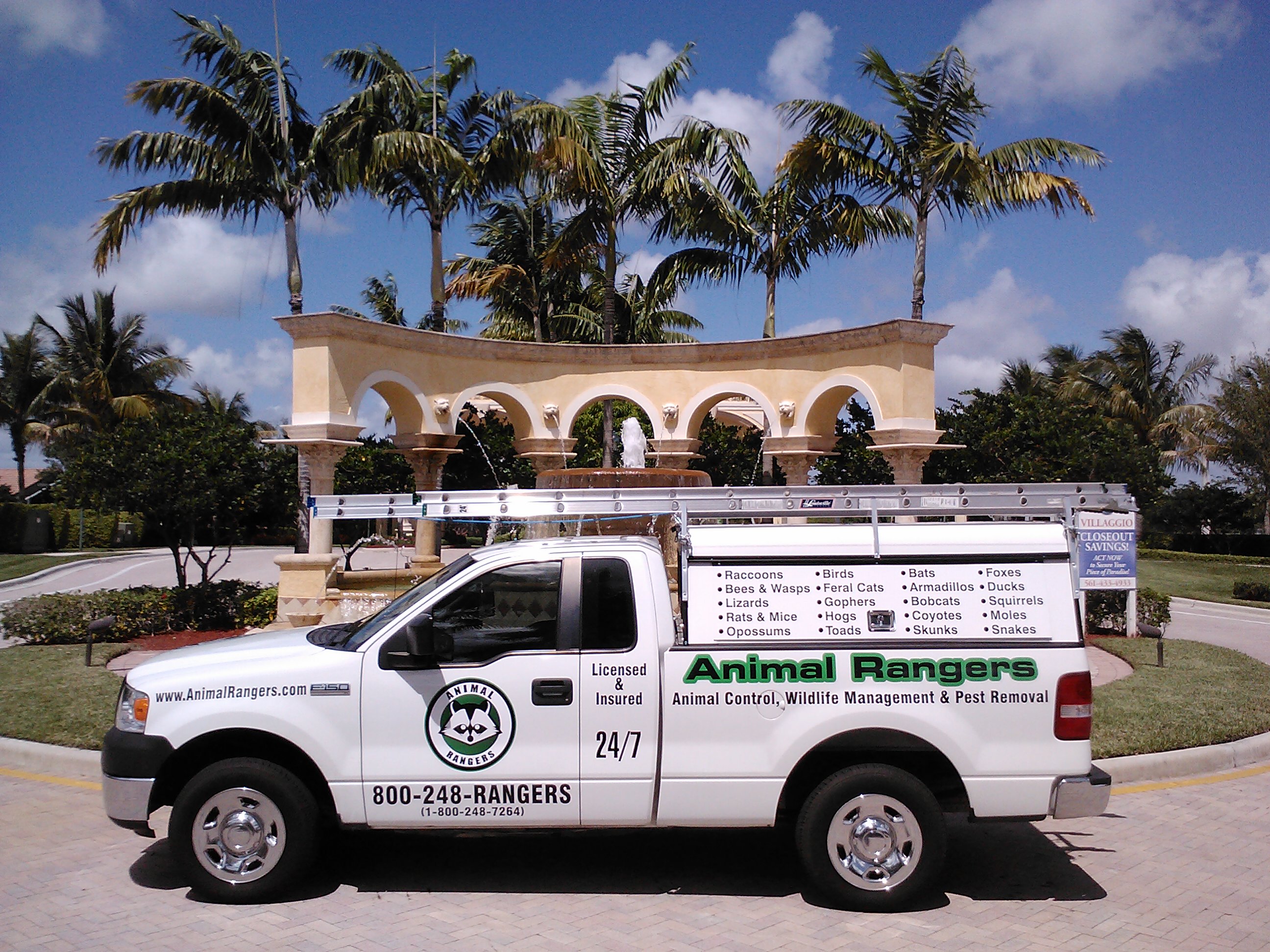 Palm Beach Gardens, FL animal control services; Nuisance wildlife trapping and removal experts.