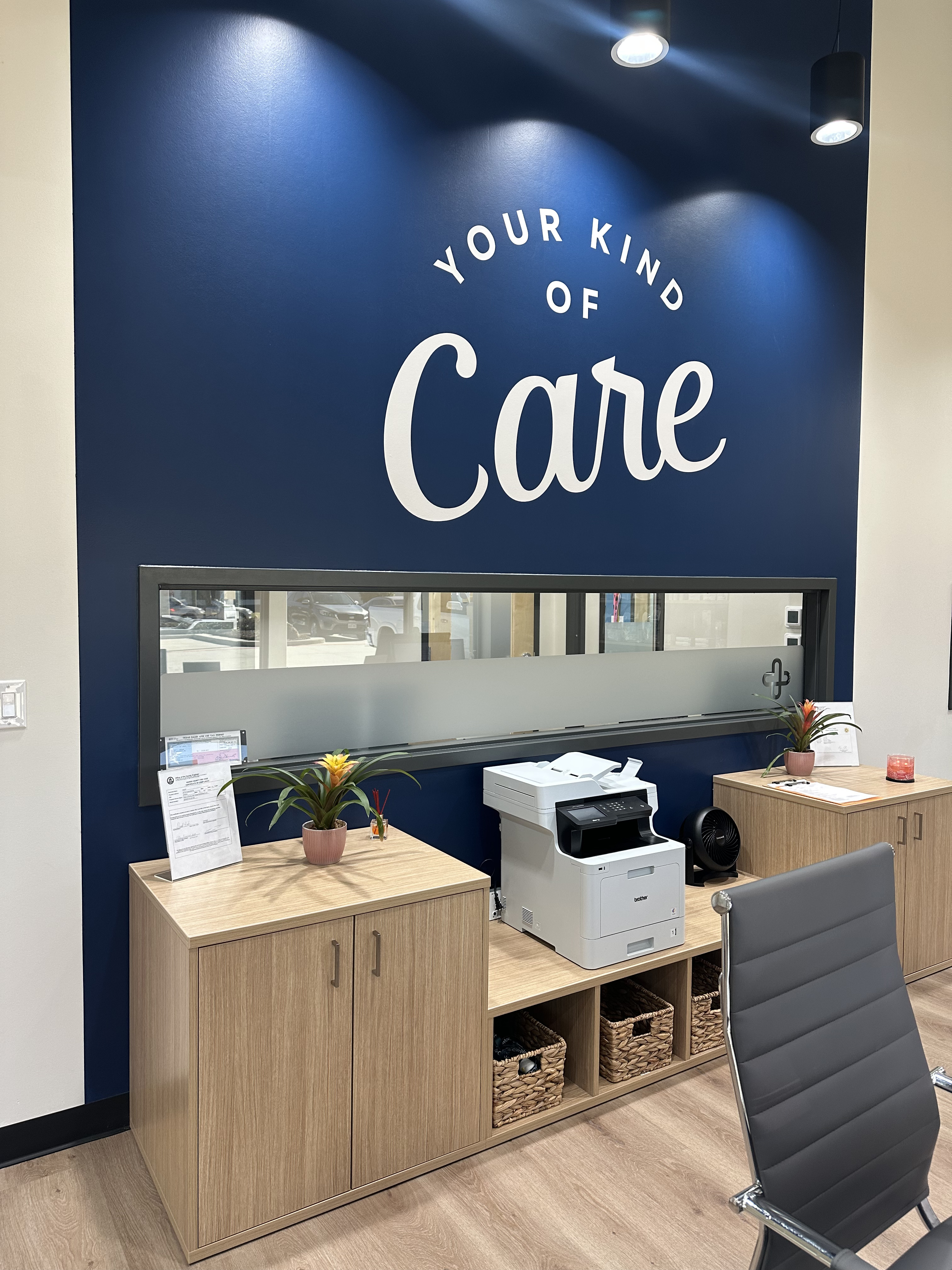 CityVet | Spring Image