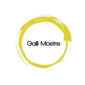 Galli Allestimenti Logo