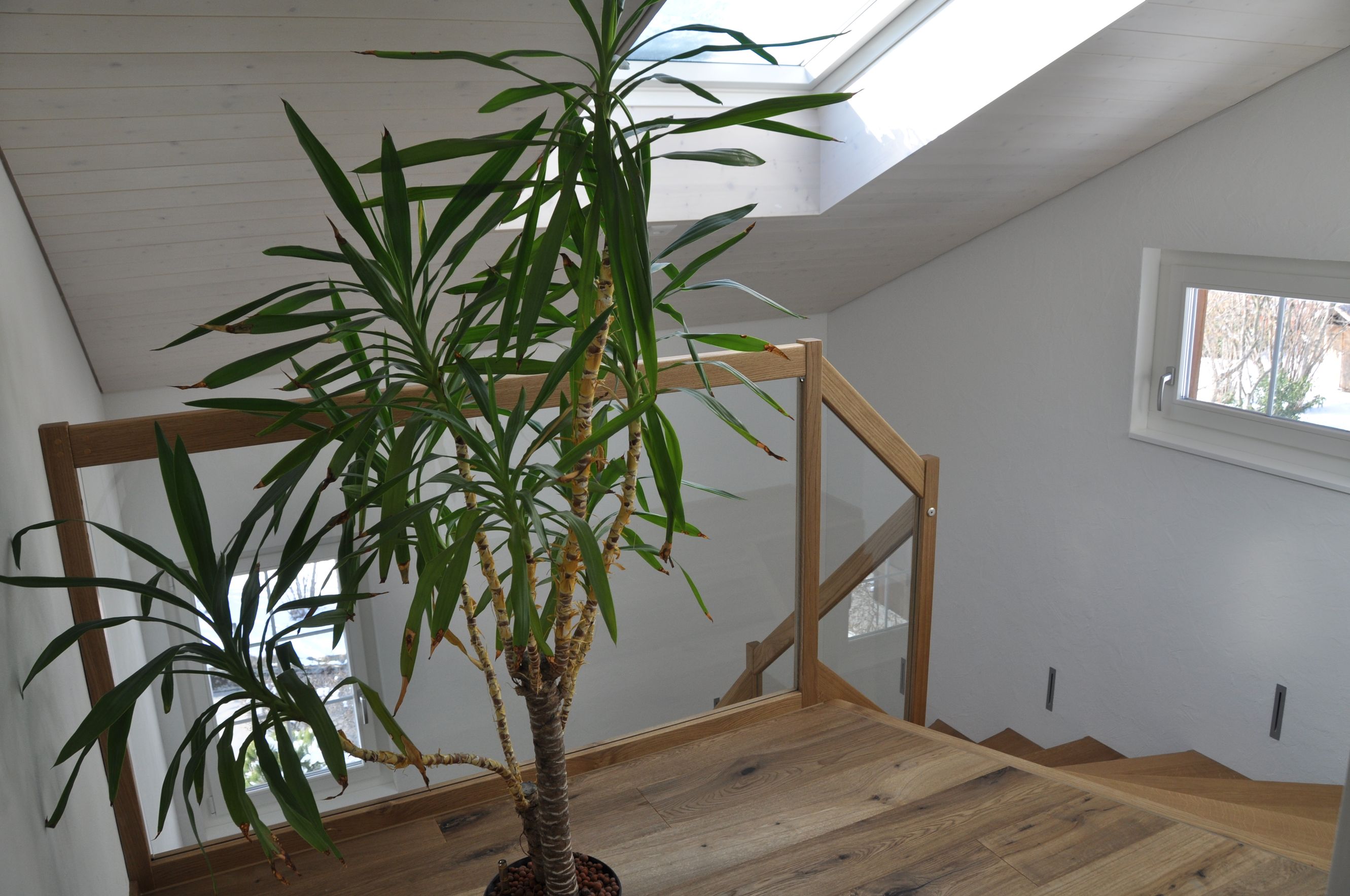 Bilder Iten & Henggeler Holzbau AG