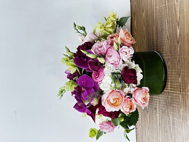 Images Jane's Roses & Flowers