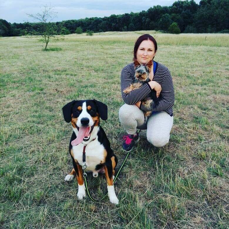 Bilder Hundezentrum Lapki