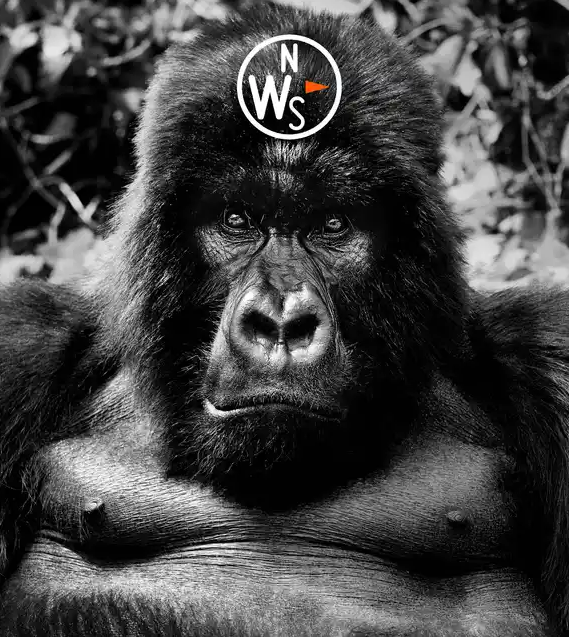 Images Natural World Safaris Ltd