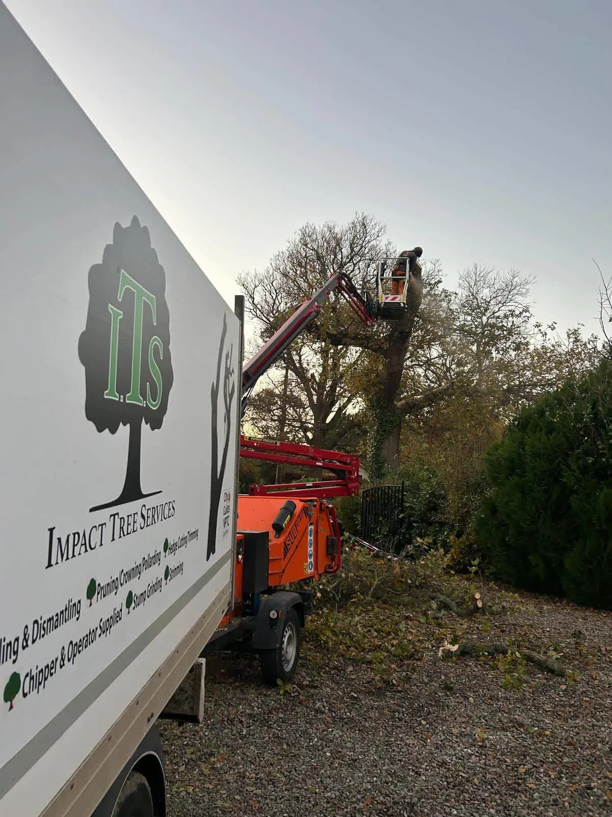 Images Impact Tree Services