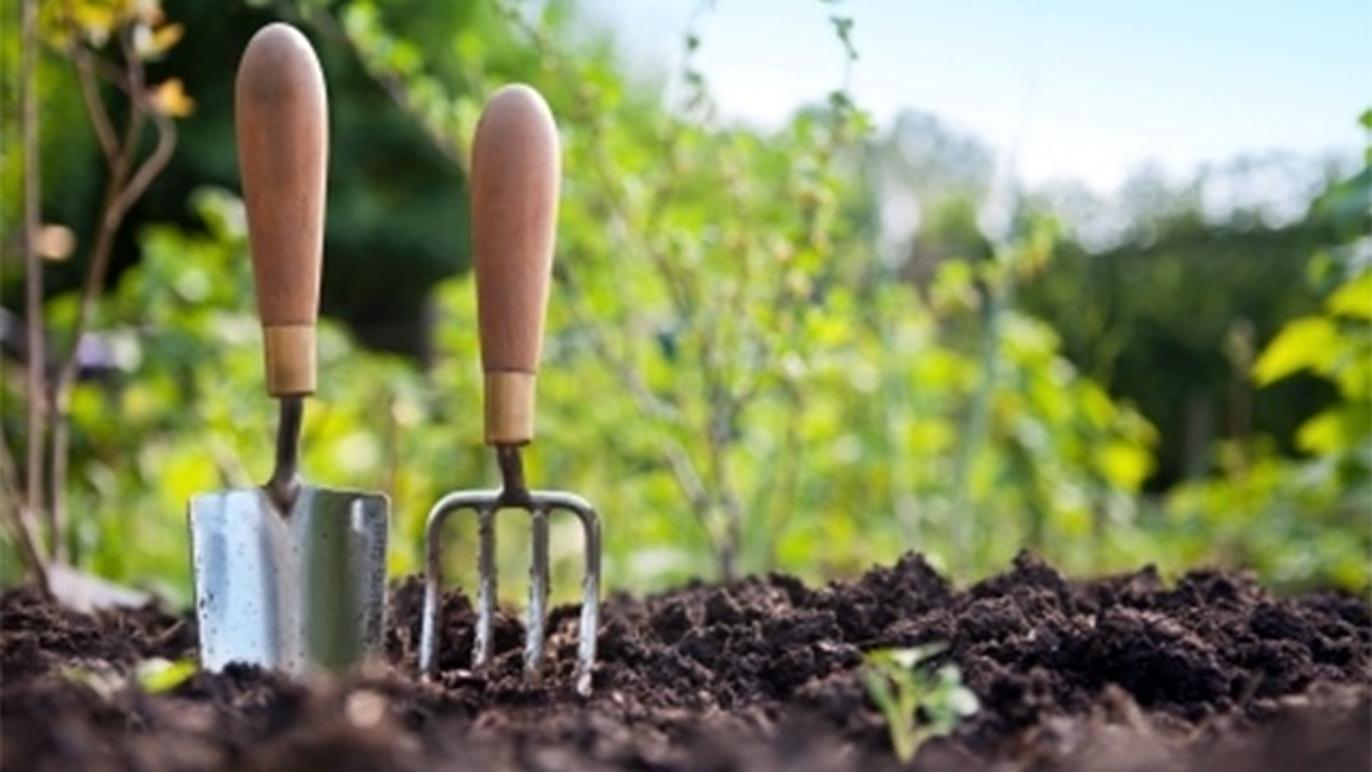 Images Stendal Anlægs- & Haveservice