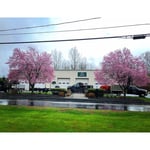 Viola Lawn Service & Landscaping, LLC Logo