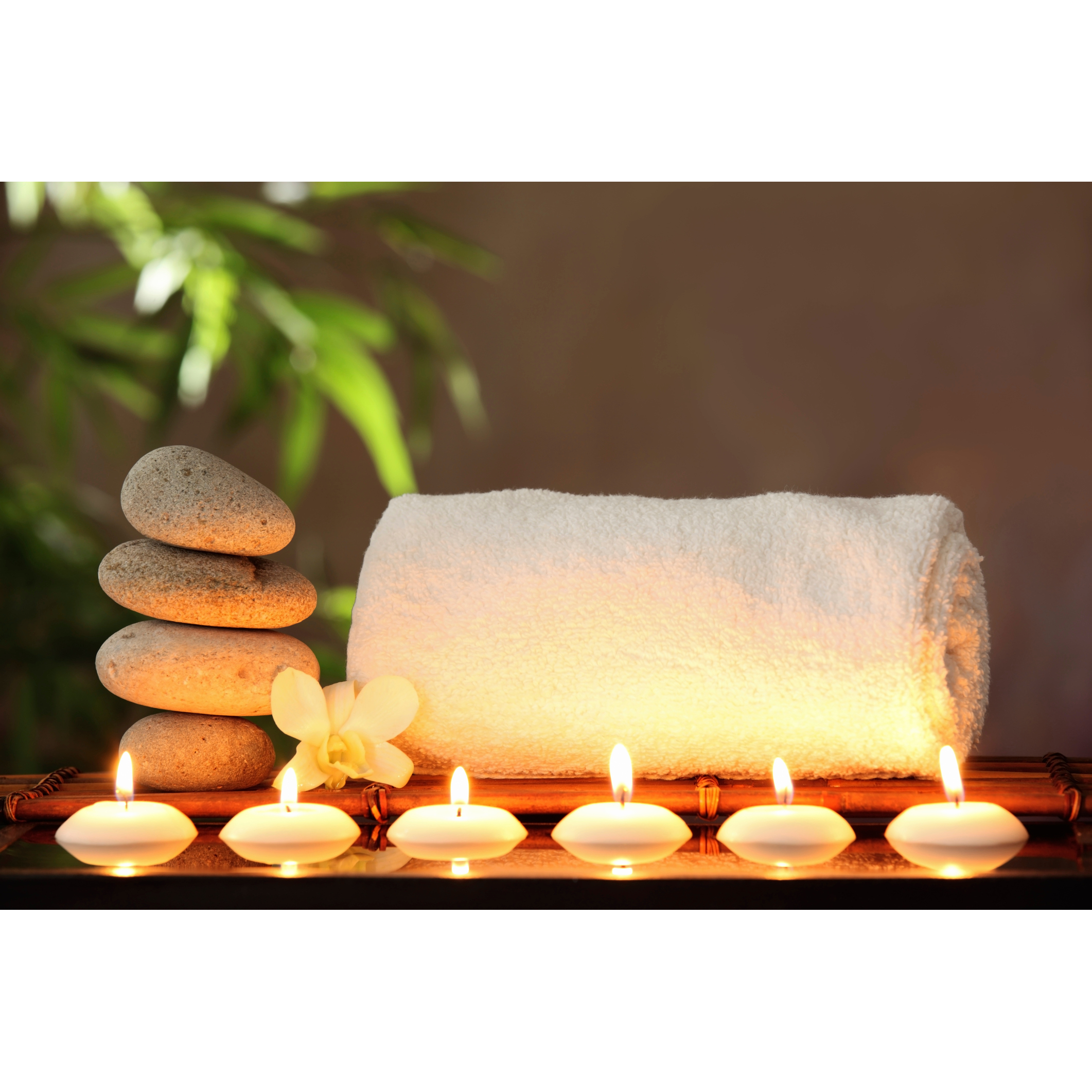 Oasis Day Spa Coupons near me in Brooklyn, NY 11206 | 8coupons
