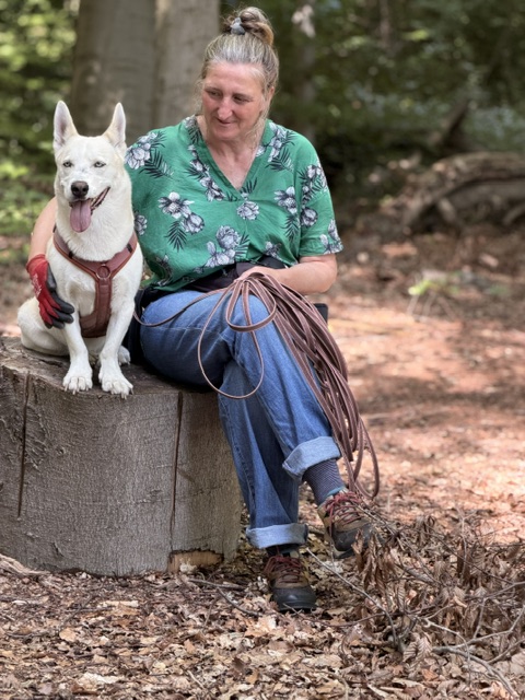 Hundeschule DogGeeks® TonCane: Online & Mobil, Voßbarg 23 in Seevetal