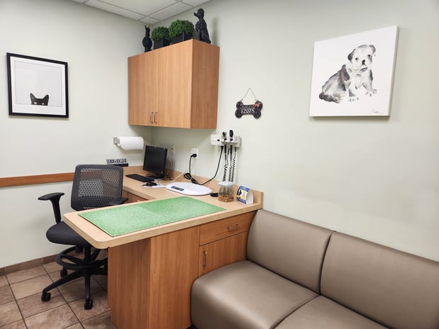 Images VCA Stirling Square Animal Hospital