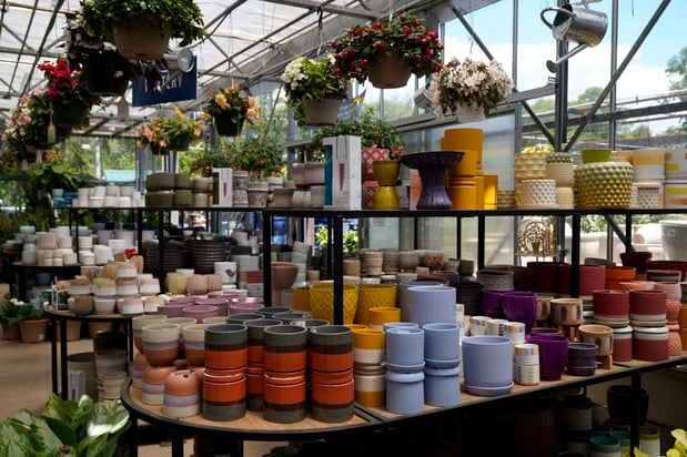 Images Mahoney's Garden Center