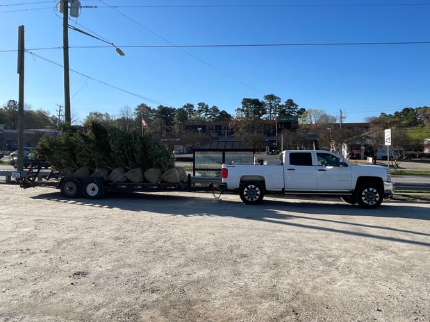 Images Bejarano Landscaping LLP