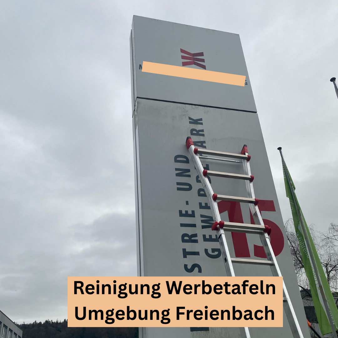Bilder Sopa Reinigung