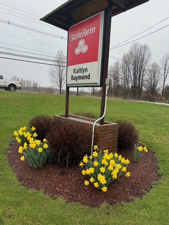 Images Kaitlyn Raymond - State Farm Insurance Agent