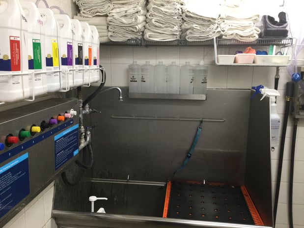 Images Petco Grooming