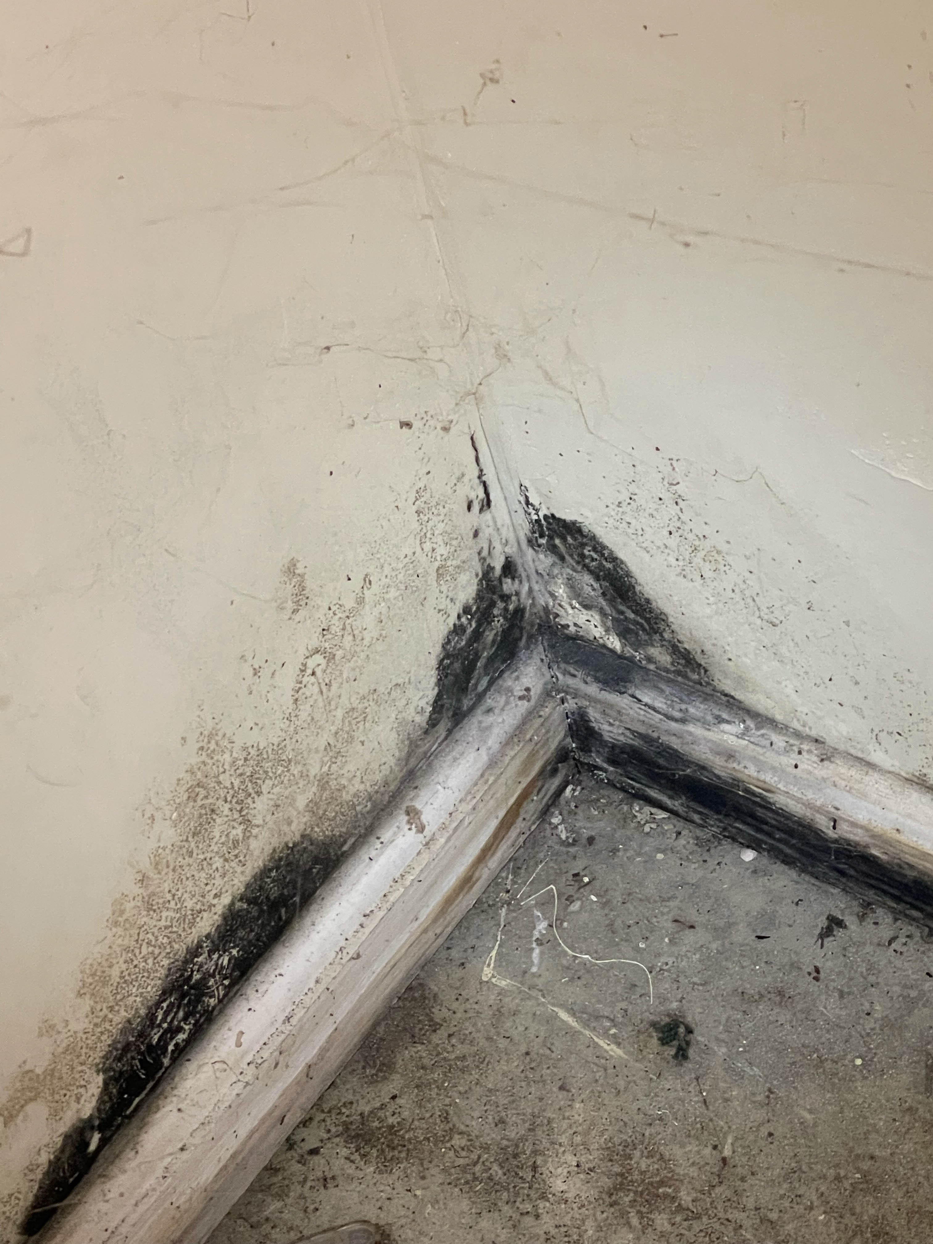 Every mold damage situation is different and requires a different response, but the mold treatment method, in general, remains the same. Call SERVPRO of North Knoxville