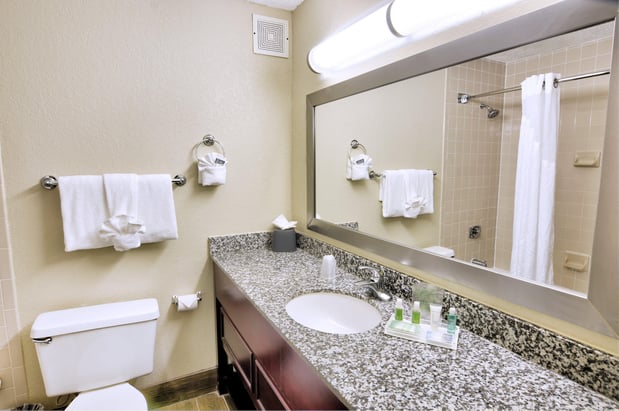 Images Holiday Inn St. Petersburg N- Clearwater by IHG