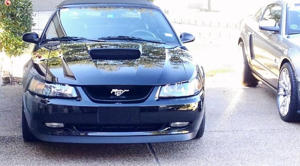 Images The Auto Detailing Company