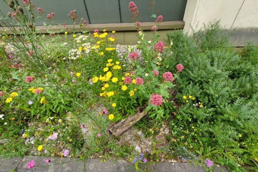 Goldwerk Garten- und Landschaftsbau in Putzbrunn, Keferloher-Markt-Straße 19 in Putzbrunn