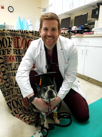 Images VCA SouthPaws Veterinary Specialists & Emergency Center
