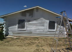 Aragon's Pro Painting