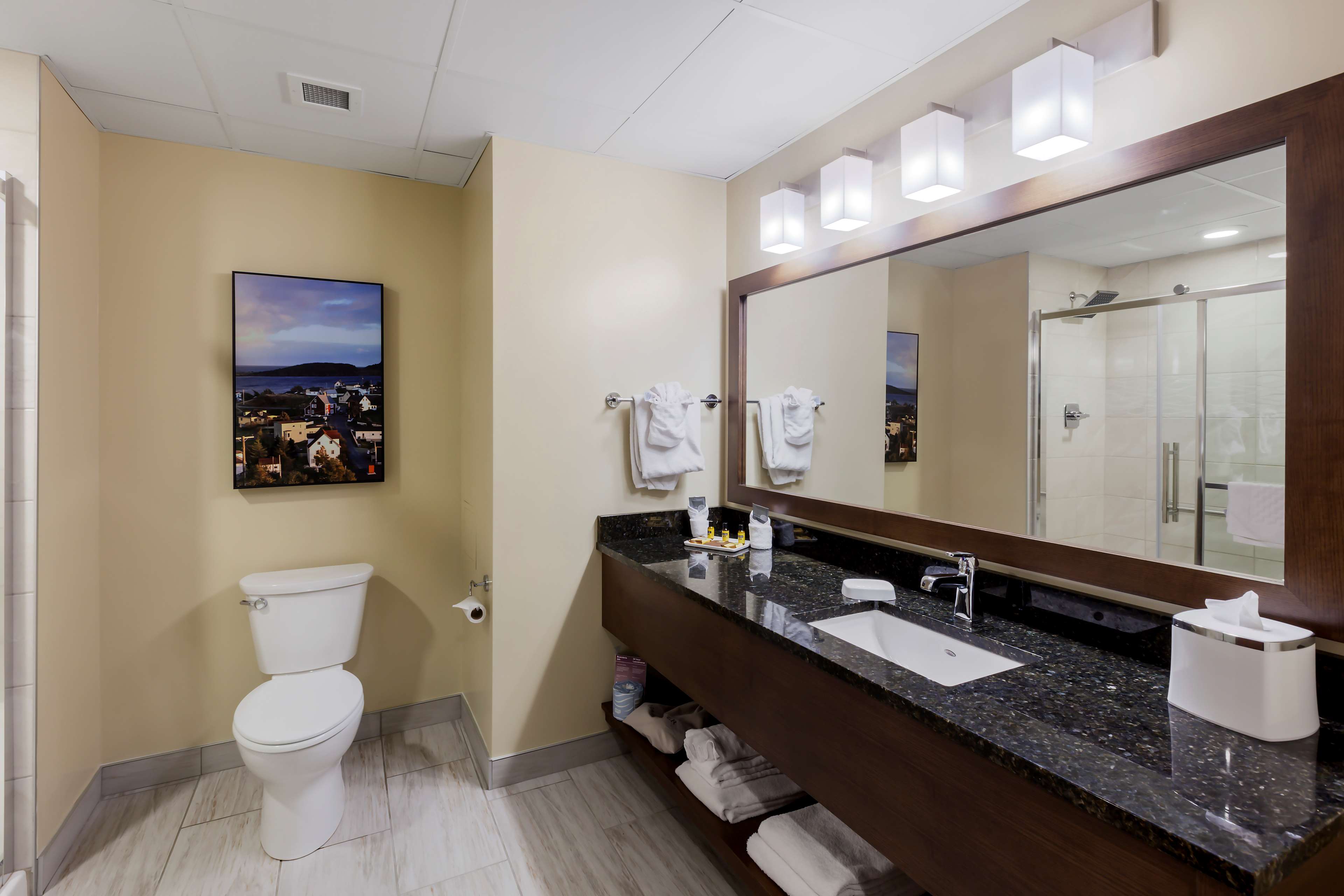 Best Western Plus St. John's Airport Hotel And Suites à St. John's: Bathroom