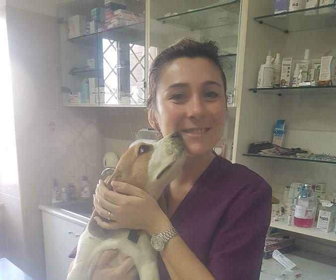 Images Ambulatorio Veterinario De Rosa Dr.ssa Maria