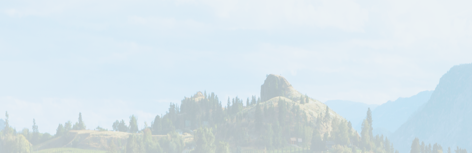 A vineyard on a hill with mountains in the background.