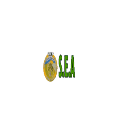 S.E.A. Logo
