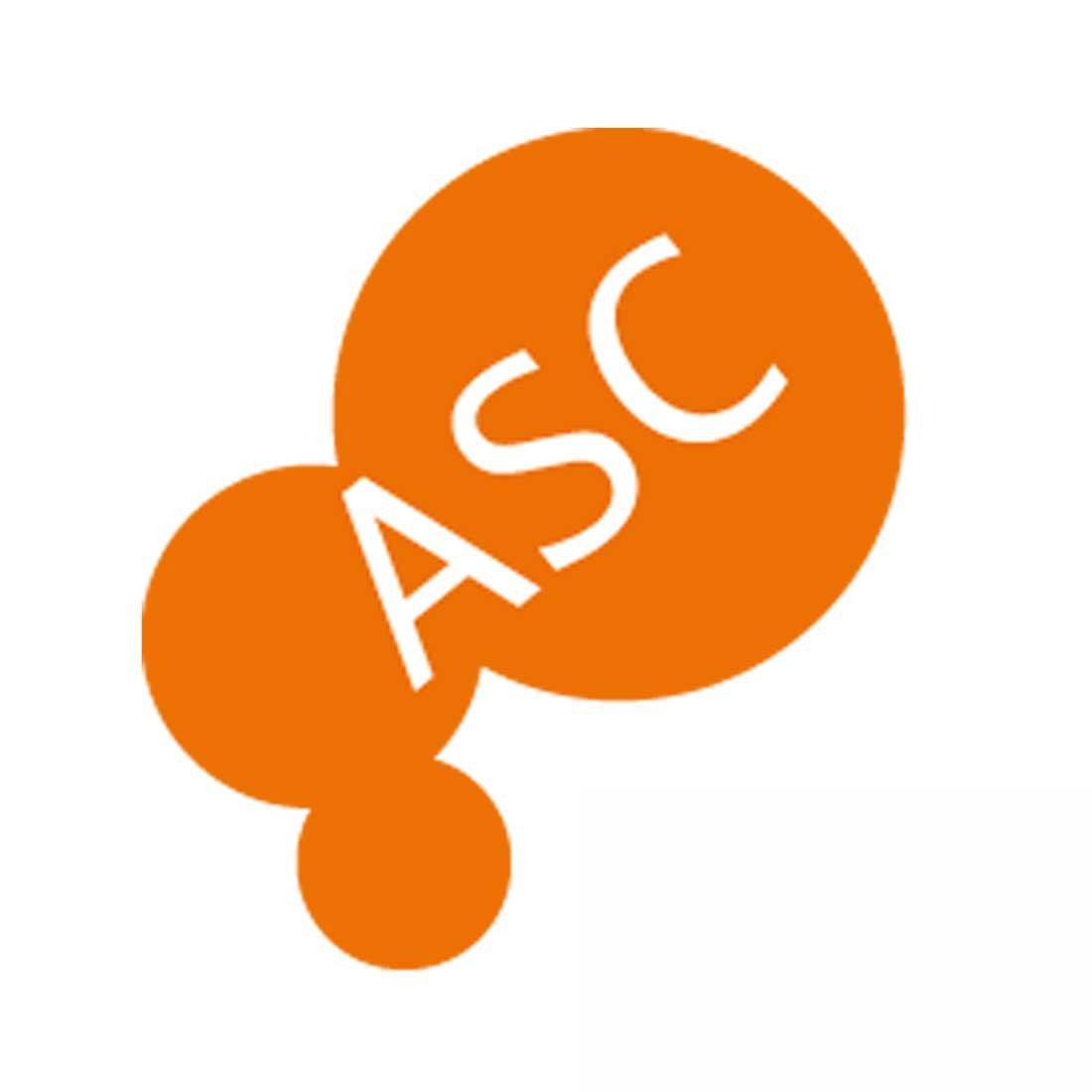Logo Logo Alster Service Center