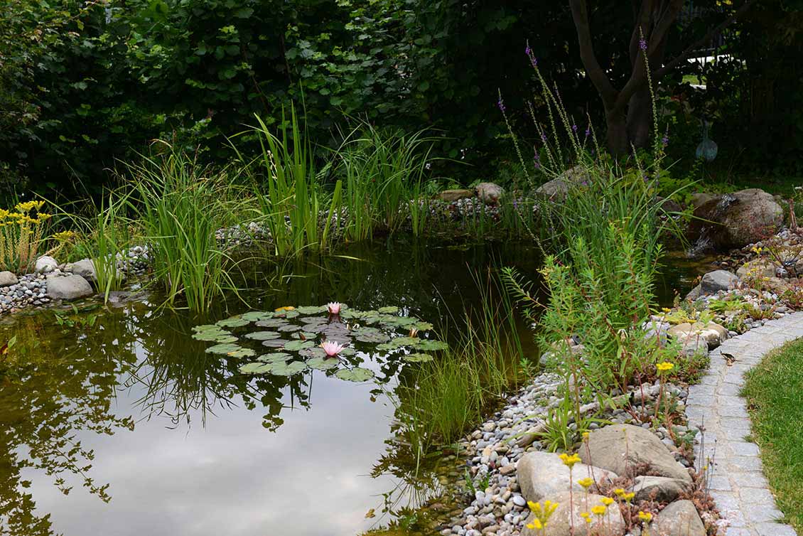 Bilder Gartengestaltung Andreas Jakob GmbH