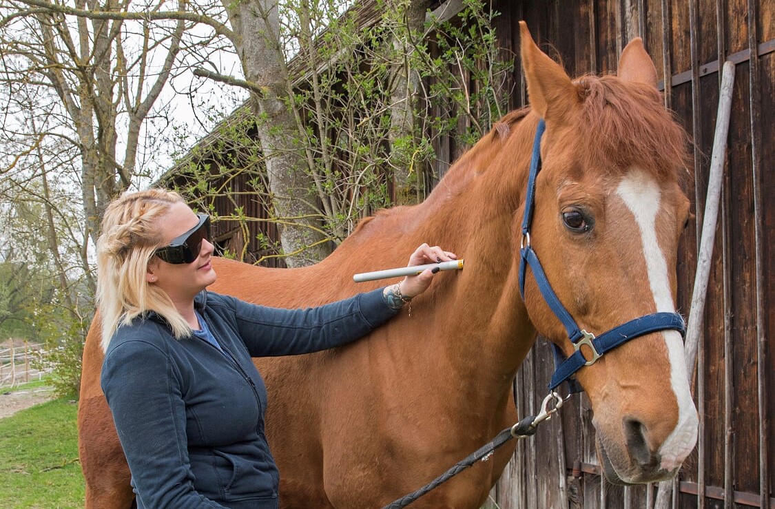 Bilder Dipl. Kinesiologin Nina Gaubinger - für Mensch und Tier - Pferdegestütztes Coaching