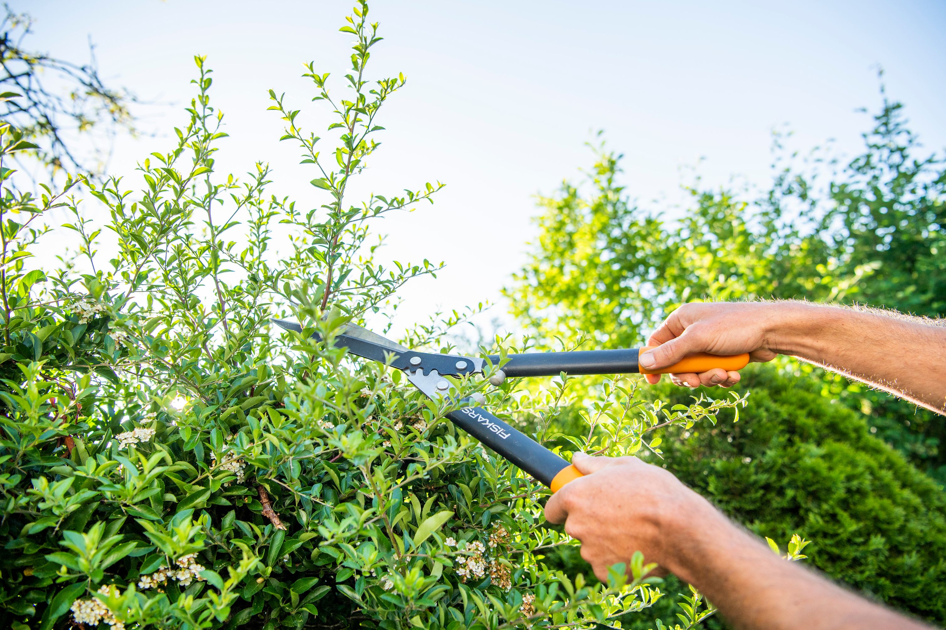 Bilder IMHOF Gartengestaltung GmbH