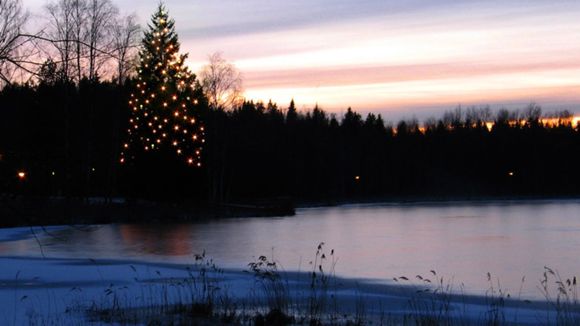 Images Pähkinähoito Oy
