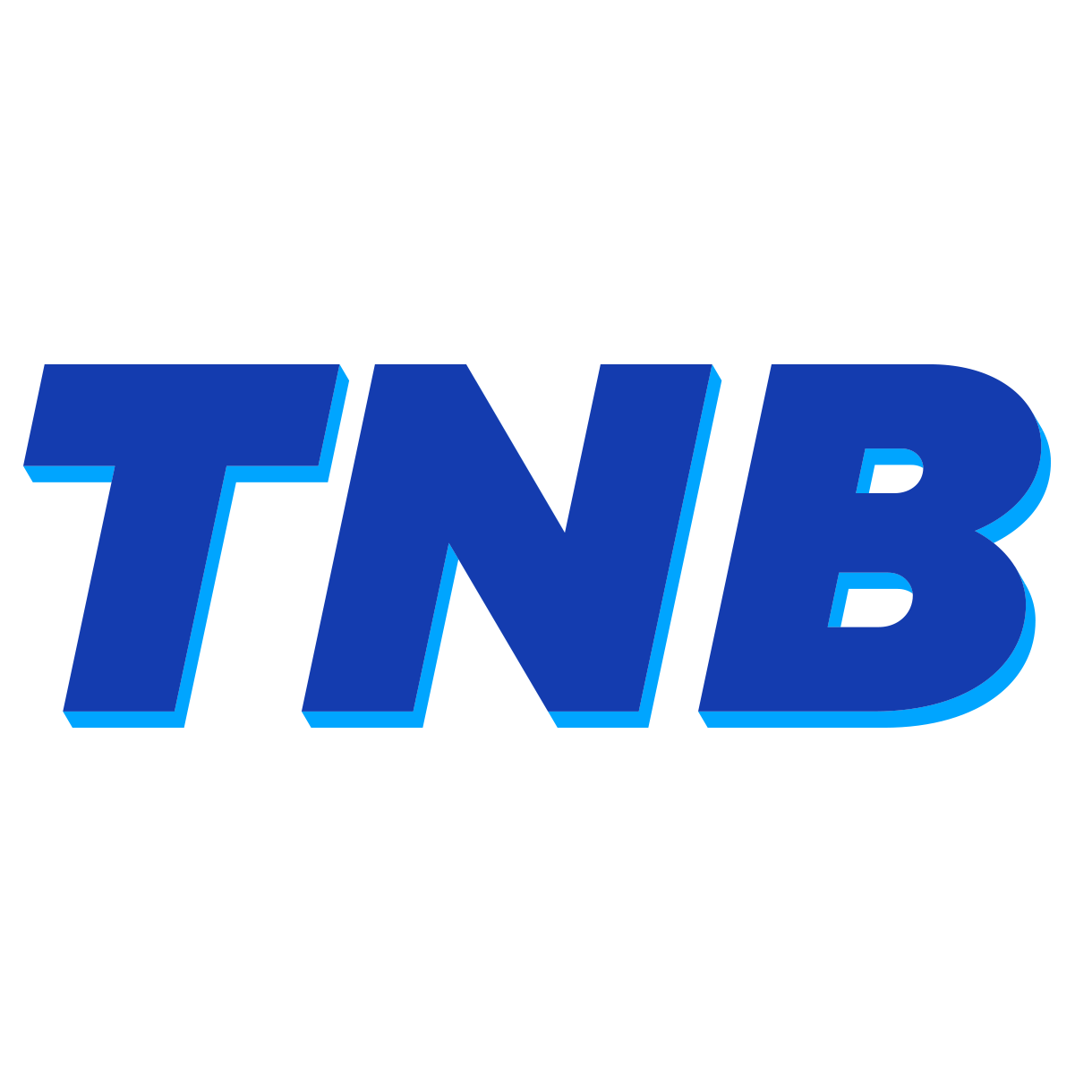 TNB Plumbing, Heating, Air Conditioning Ltd.