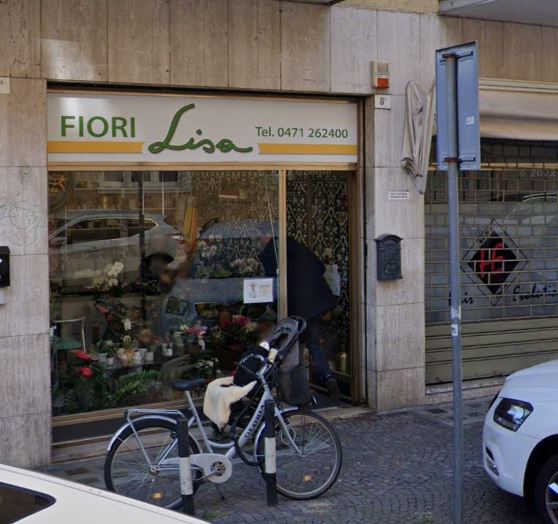 Fiori Lysa