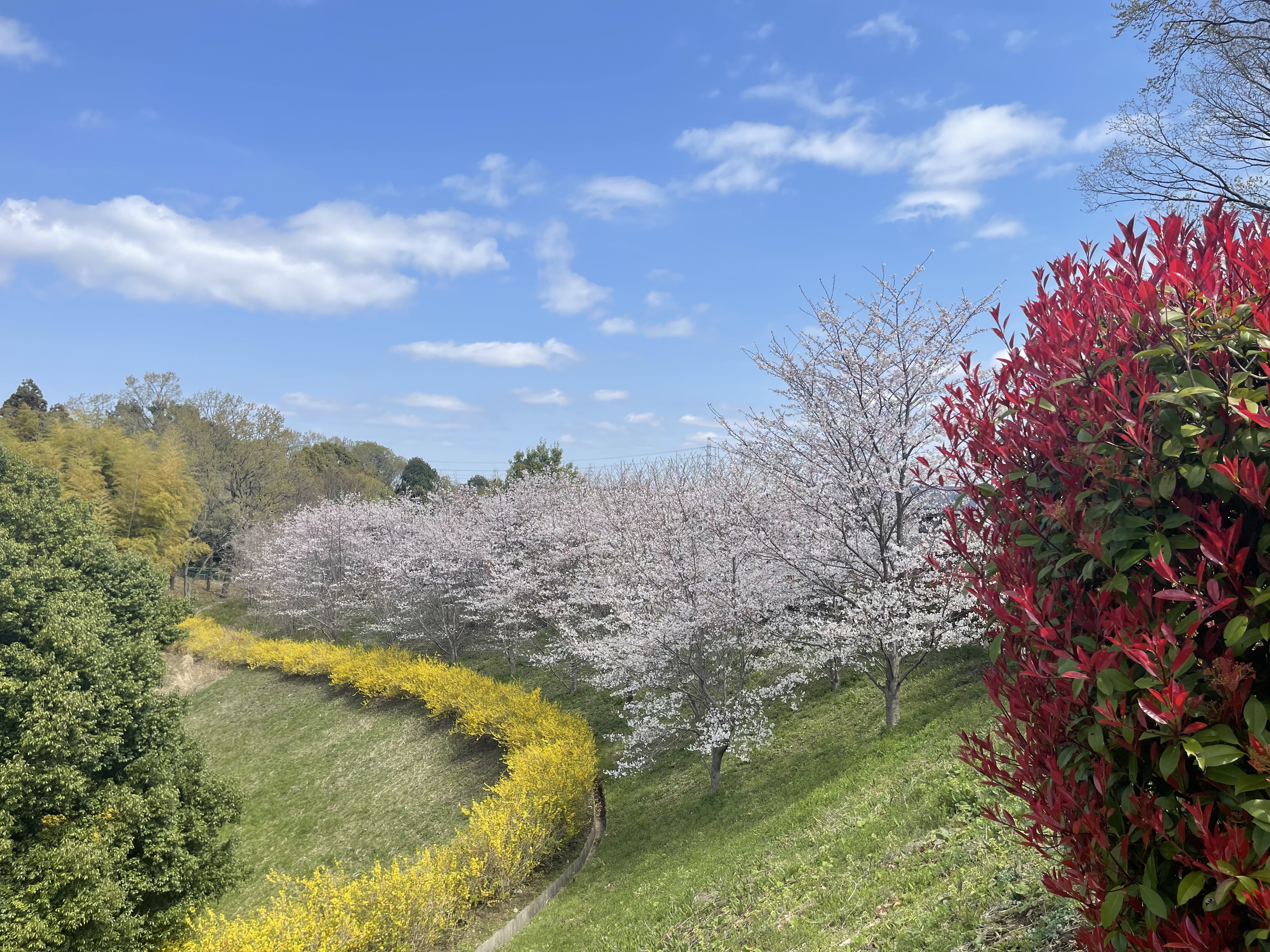 Images 川崎清風霊園
