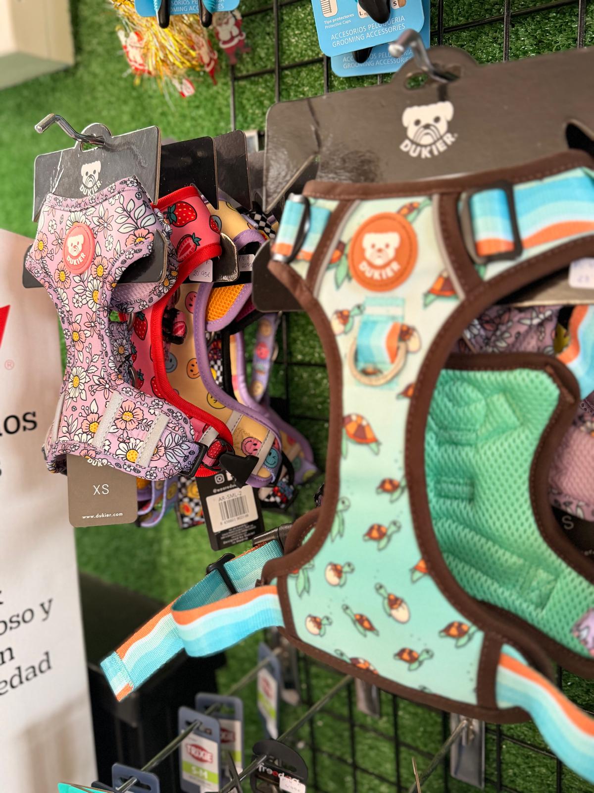 Images Mascotas Tindaya