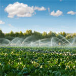 Images Sala-Tenna Irrigation