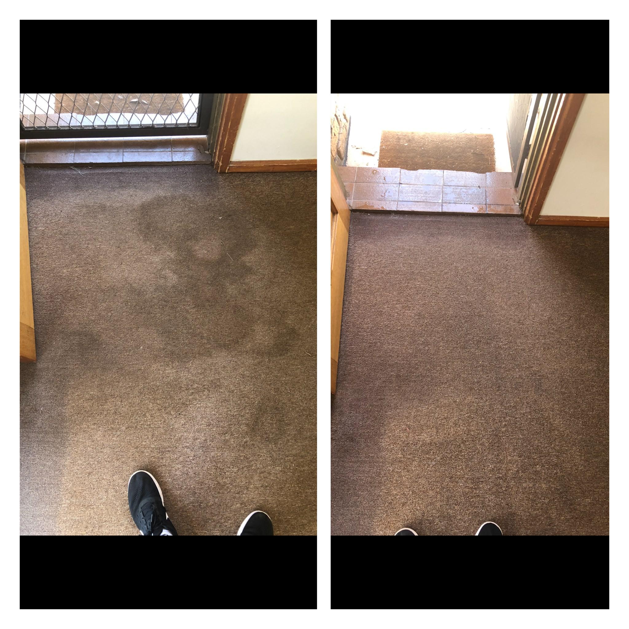Images Adelaide Carpet Care