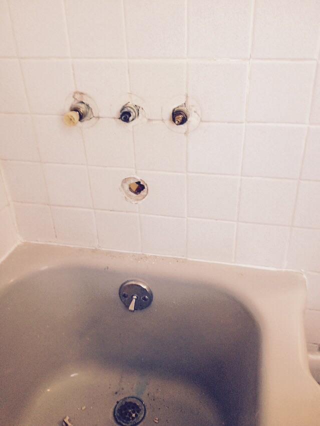 Barthelette Plumbing and Pest Control