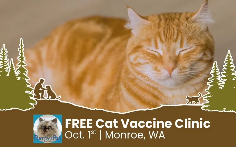 Image of Local Pet Event FREE Cat Vaccine Clinic | Registration Required | Monroe Nearby