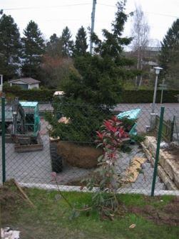 Bilder Gartenbau  Basel