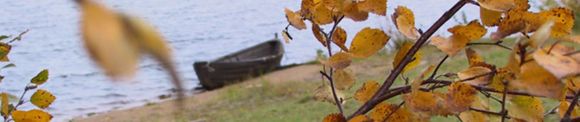 Images Rantapohja Oy