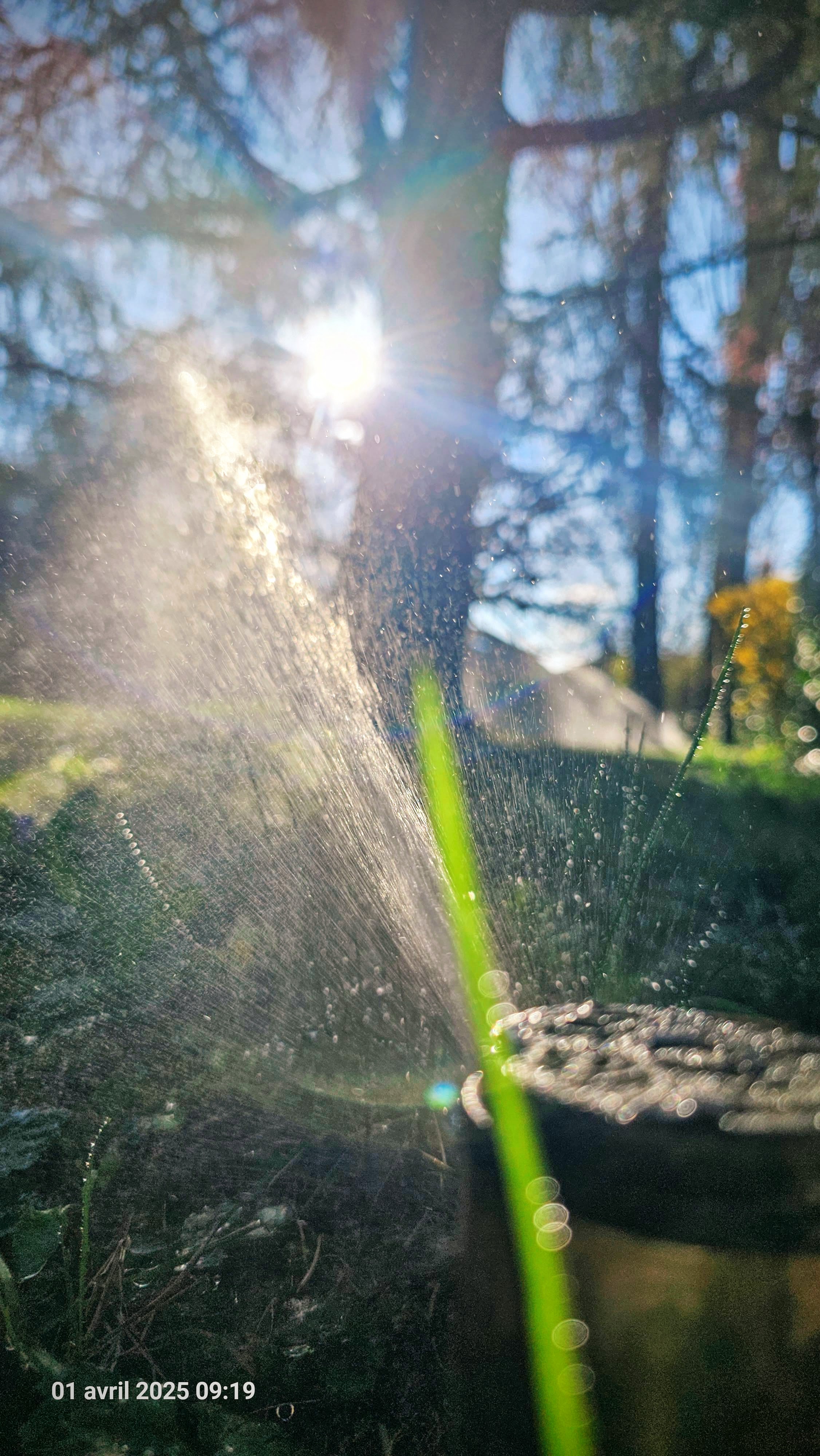 Bilder Art'rosage Sàrl
